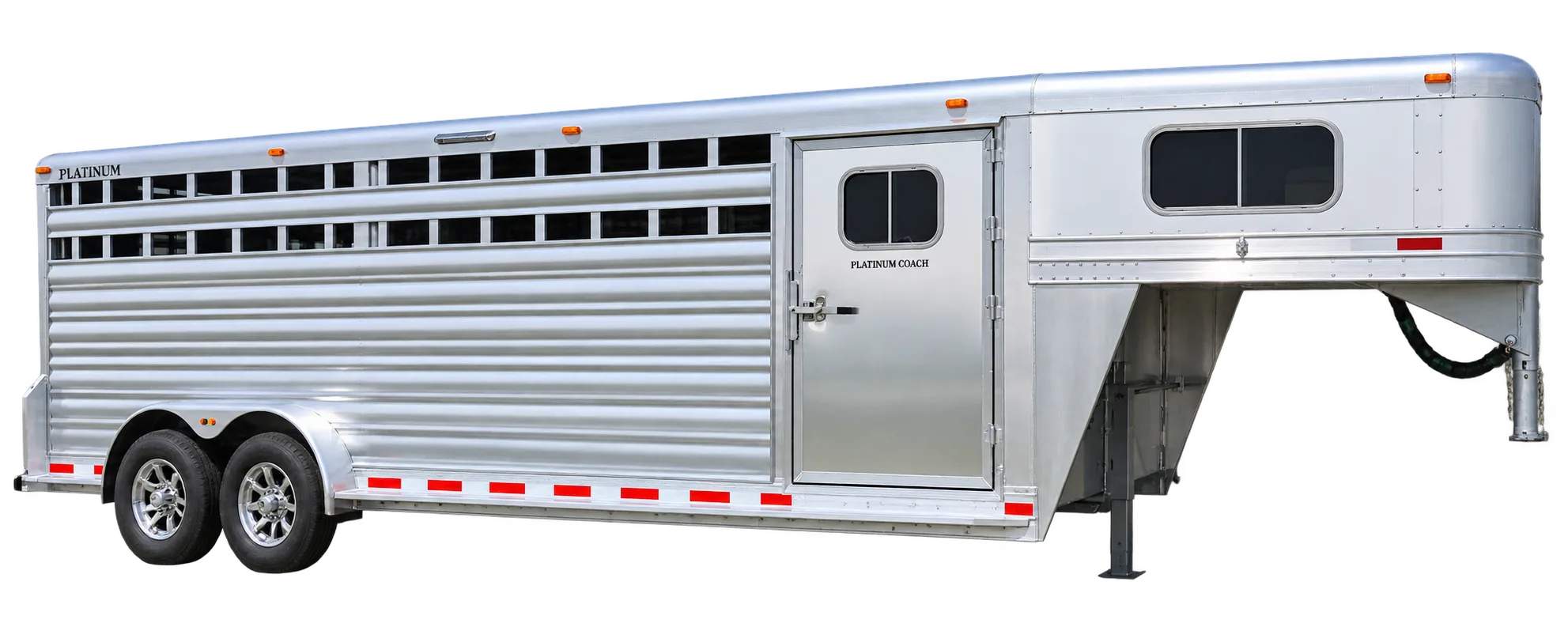 Livestock